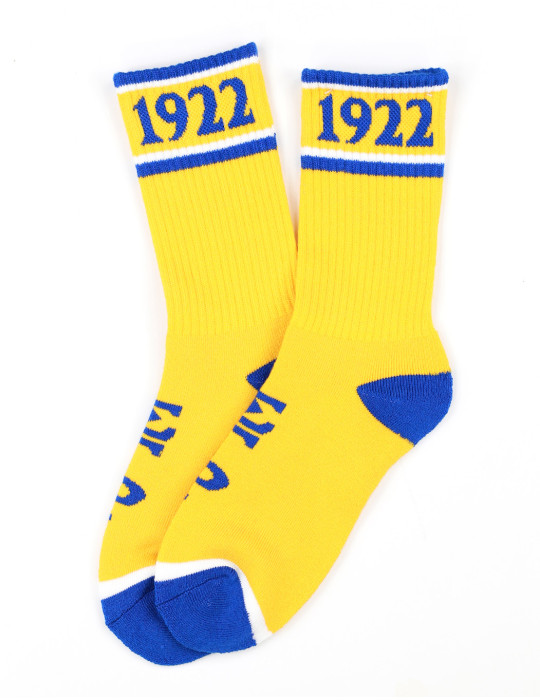SGR SOCKS_GOLD