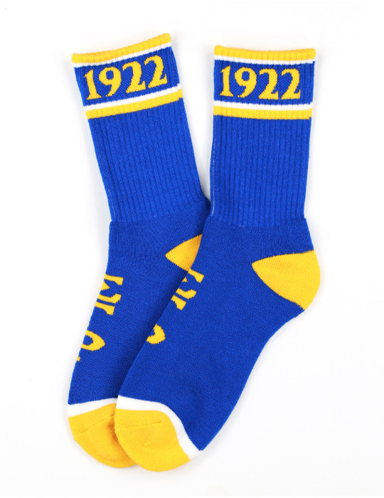 SGR SOCKS_ROYAL BLUE