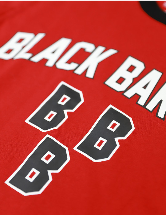 BIRMINGHAM BLACK BARONS LONG SLEEVE TEE