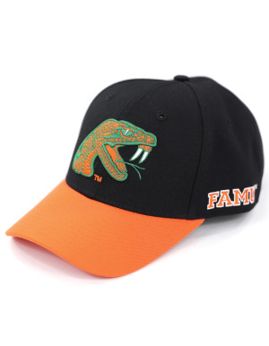 FLORIDA A&M CAP