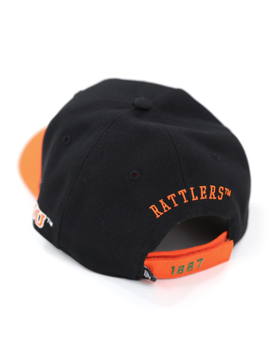 FLORIDA A&M CAP
