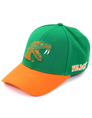 FLORIDA A&M CAP