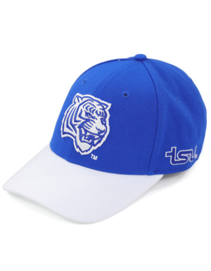 TENNESSEE STATE CAP