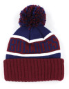 SOUTH CAROLINA STATE BEANIE