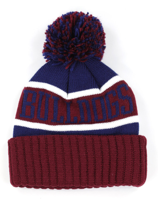 SOUTH CAROLINA STATE BEANIE