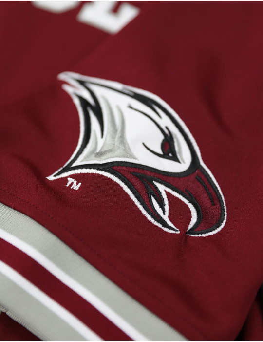 NORTH CAROLINA CENTRAL FOOTBALL JERSEY