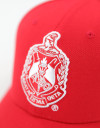DST CREST BALL CAP_RED