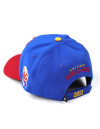 CHICAGO AMERICAN GIANTS LEGACY CAP