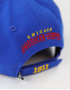 CHICAGO AMERICAN GIANTS LEGACY CAP