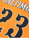 BALTIMORE BLACK SOX BASEBALL JERSEY