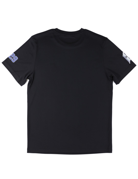 HOMESTEAD GRAYS DRY FIT TEE