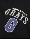 HOMESTEAD GRAYS DRY FIT TEE