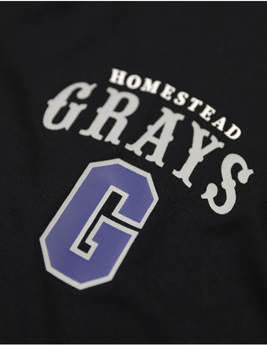 HOMESTEAD GRAYS DRY FIT TEE