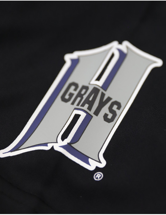 HOMESTEAD GRAYS DRY FIT TEE