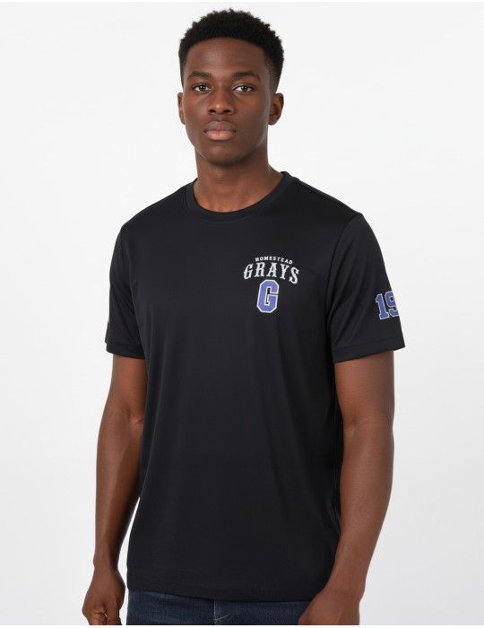 HOMESTEAD GRAYS DRY FIT TEE
