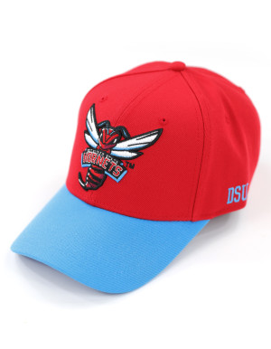 DELWARE STATE TWO-TONE BALL CAP