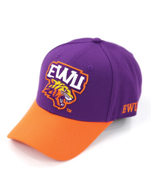 EDWARD WATERS TWO-TONE BALL CAP