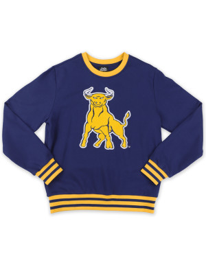 JOHNSON C SMITH STRIPED RIBBING SWEATSHIRT