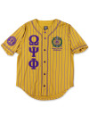 OPP BASEBALL JERSEY_GOLD