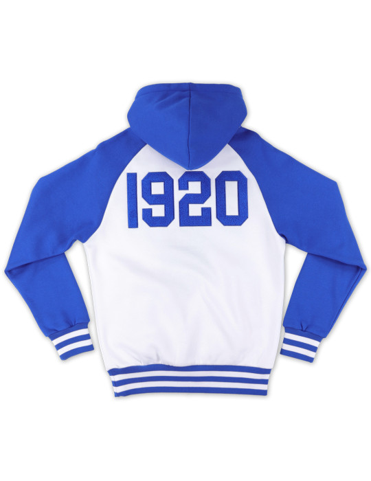 ZPB TWO-TONE PULLOVER HOODIE