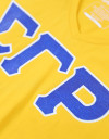 SGR V-NECK TEE_GOLD