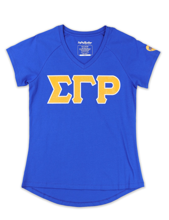 SGR V-NECK TEE_BLUE